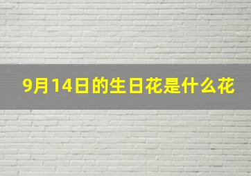 9月14日的生日花是什么花