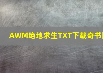 AWM绝地求生TXT下载奇书网