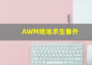 AWM绝地求生番外