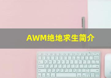 AWM绝地求生简介