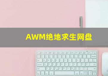 AWM绝地求生网盘