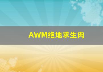 AWM绝地求生肉