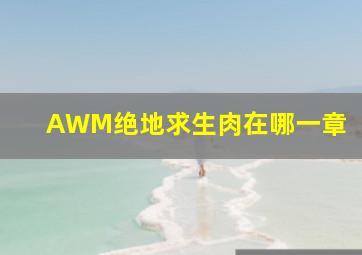 AWM绝地求生肉在哪一章