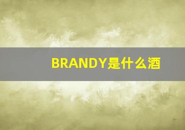 BRANDY是什么酒