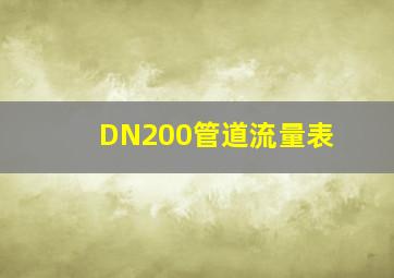 DN200管道流量表