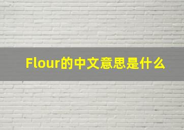 Flour的中文意思是什么