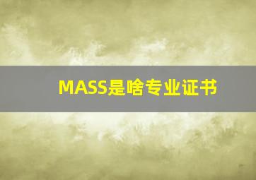 MASS是啥专业证书