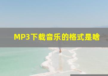 MP3下载音乐的格式是啥