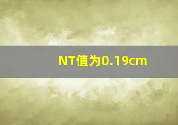 NT值为0.19cm