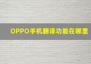 OPPO手机翻译功能在哪里