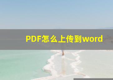 PDF怎么上传到word