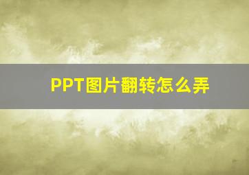 PPT图片翻转怎么弄