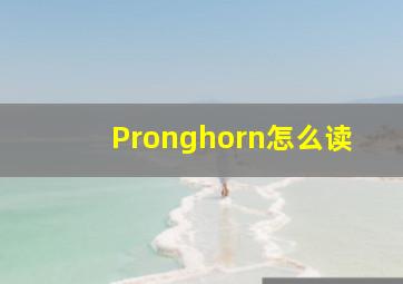 Pronghorn怎么读