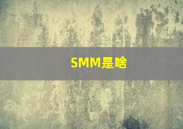 SMM是啥