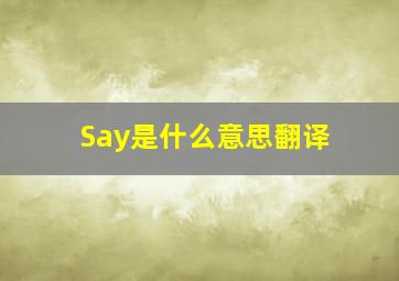 Say是什么意思翻译