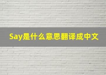 Say是什么意思翻译成中文