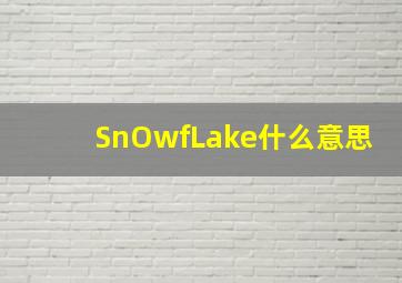 SnOwfLake什么意思