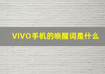 VIVO手机的唤醒词是什么