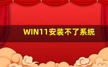 WIN11安装不了系统