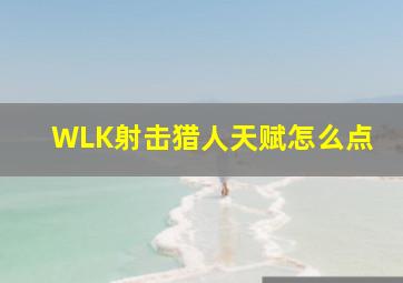 WLK射击猎人天赋怎么点