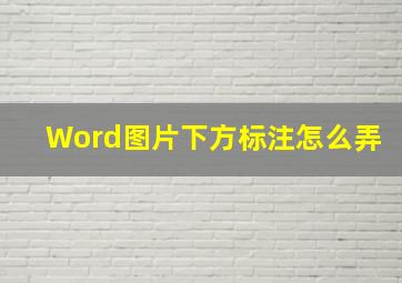 Word图片下方标注怎么弄