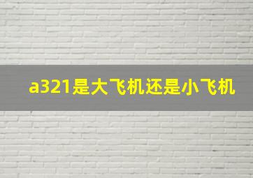 a321是大飞机还是小飞机