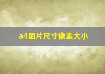 a4图片尺寸像素大小