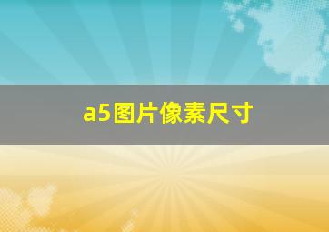 a5图片像素尺寸