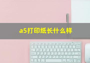 a5打印纸长什么样