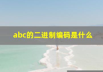 abc的二进制编码是什么