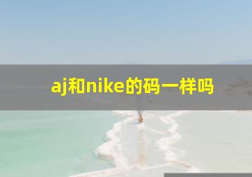 aj和nike的码一样吗