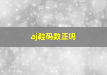 aj鞋码数正吗