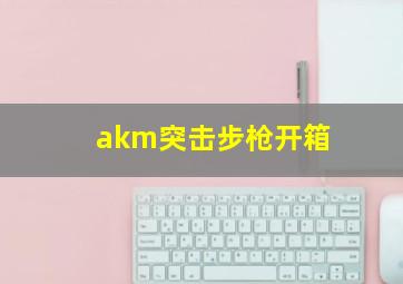 akm突击步枪开箱