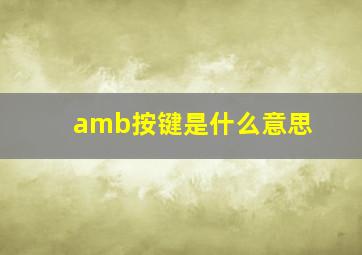 amb按键是什么意思