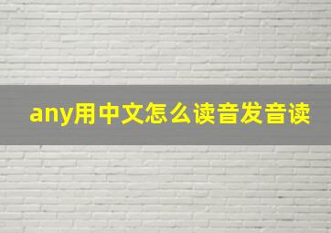 any用中文怎么读音发音读