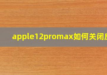 apple12promax如何关闭应用