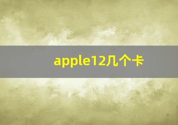 apple12几个卡