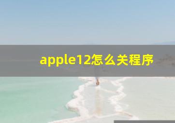 apple12怎么关程序