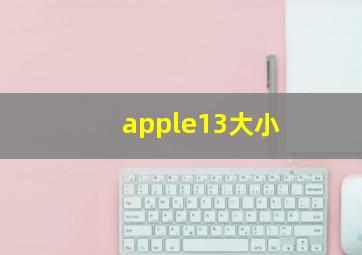 apple13大小