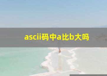 ascii码中a比b大吗