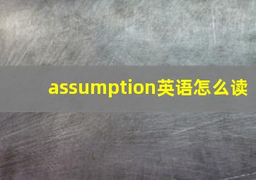 assumption英语怎么读