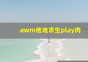 awm绝地求生play肉