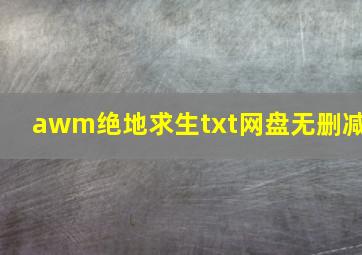 awm绝地求生txt网盘无删减