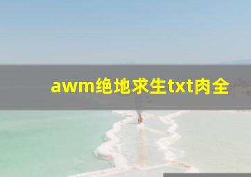 awm绝地求生txt肉全