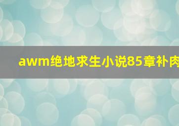 awm绝地求生小说85章补肉