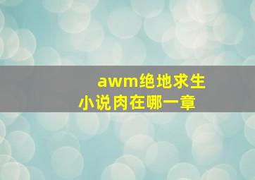 awm绝地求生小说肉在哪一章