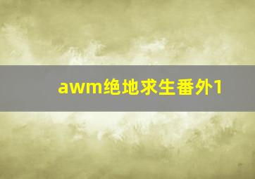 awm绝地求生番外1