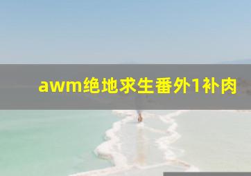 awm绝地求生番外1补肉