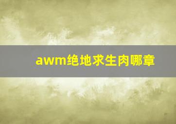 awm绝地求生肉哪章