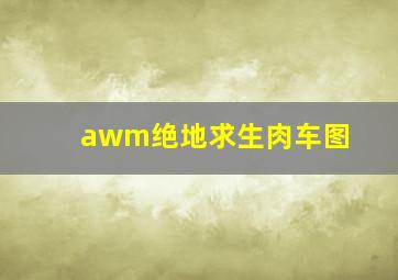 awm绝地求生肉车图